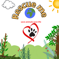 Animal Rescue 2 apk Free Download 