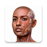 C. Anatomy 10.0.0 apk Free Download | APKToy.com